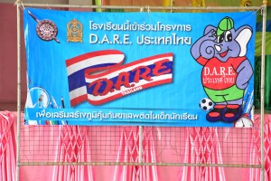 DSC 0003 